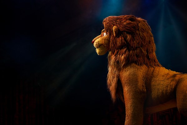 Simba At The Festival Of The Lion King