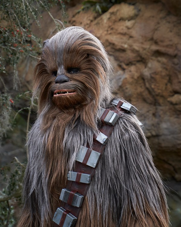 Chewbacca