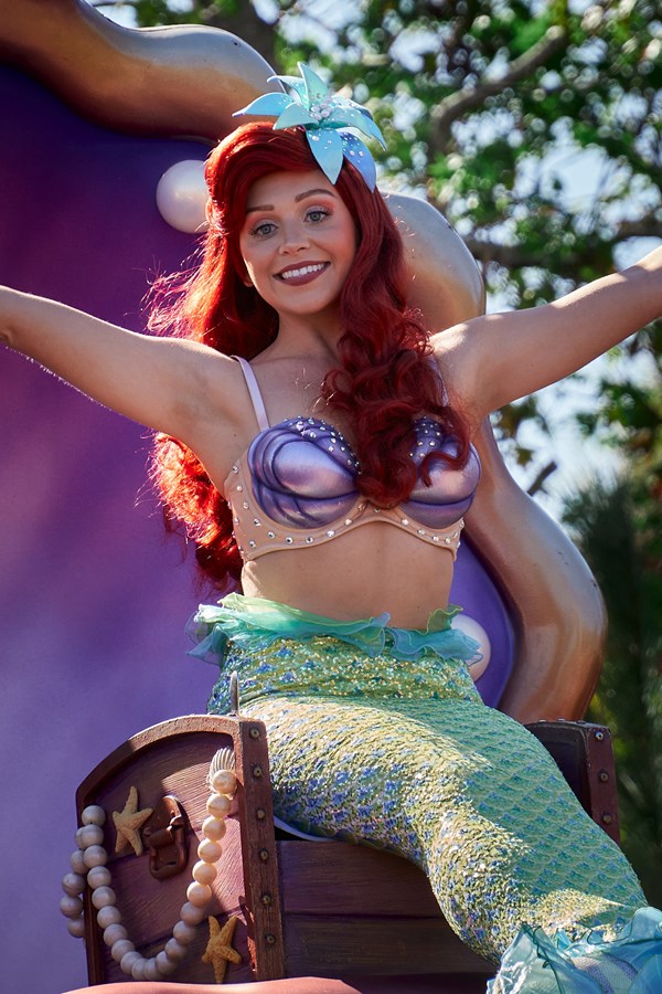 Ariel