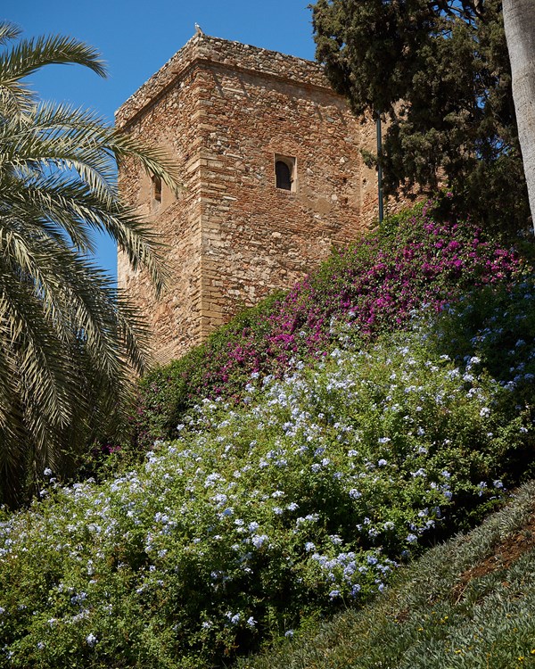 Alcazaba With Flowers, Malaga