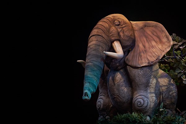 Elephant From Festival Of The Lion King