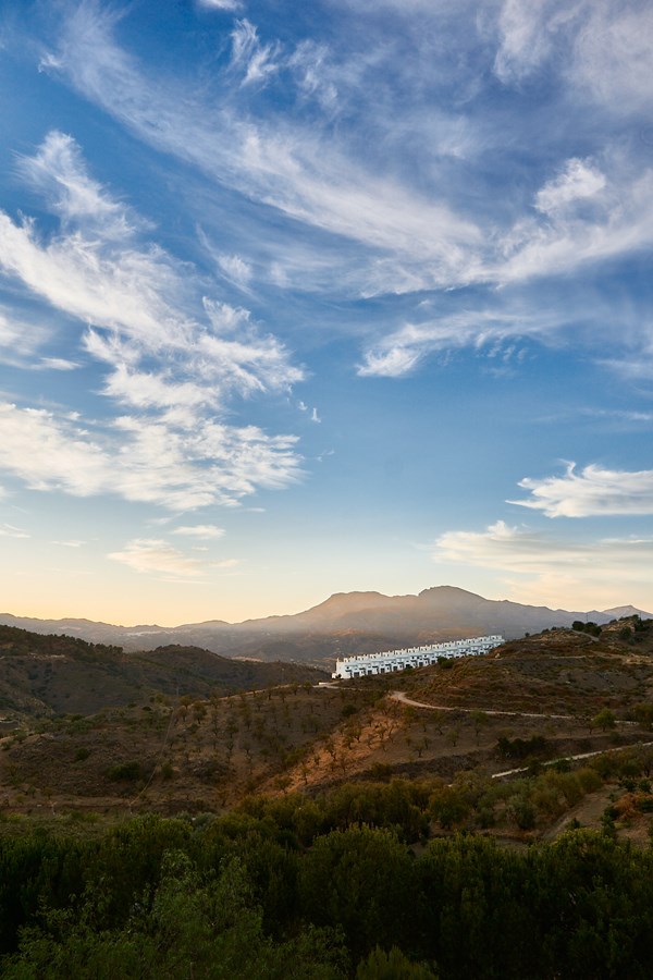 The Teeth And The Pharaoh